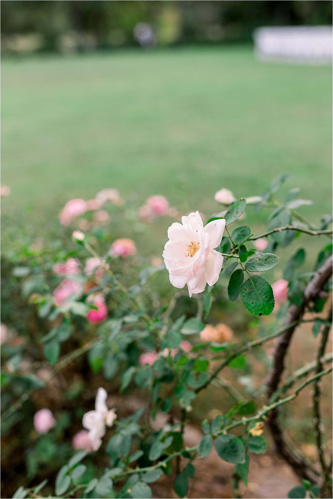 garden wedding flowers_Photos by Leigh Wolfe, Atlanta's Top Wedding Photographer
