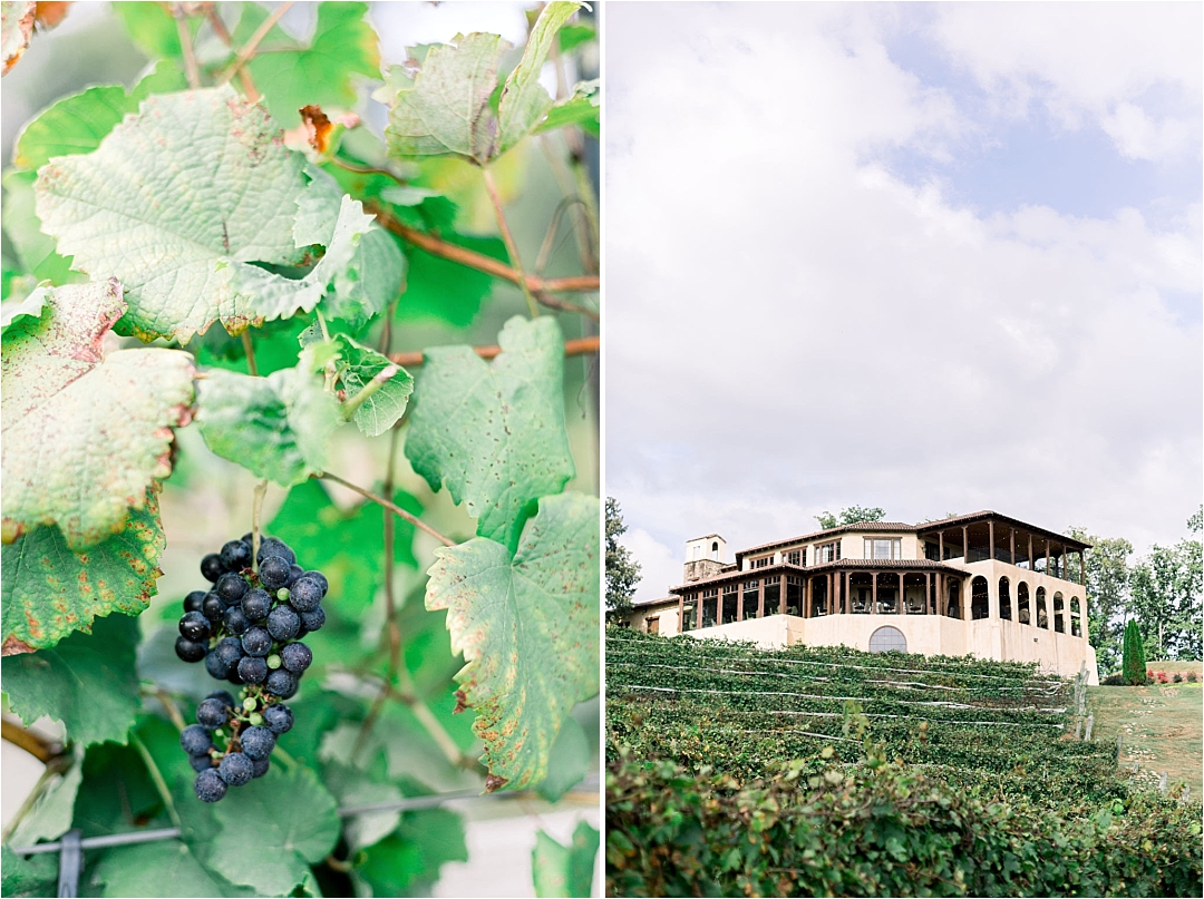 winery and wine grapes_Photos by Leigh Wolfe, Atlanta's Top Wedding Photographer